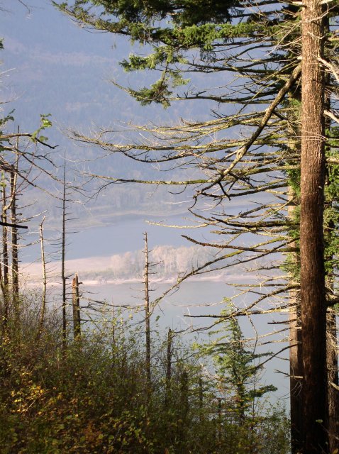 10.28.05 Devil's Rest 133 